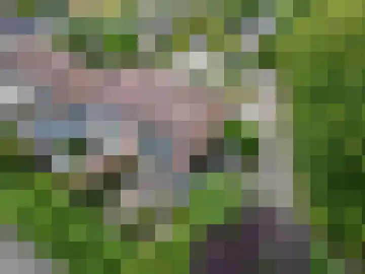 Van Haersoltelaan 34 Barneveld thumbnail 49