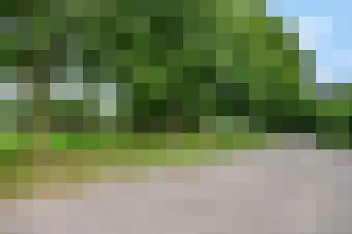 Van Haersoltelaan 34 Barneveld thumbnail 51