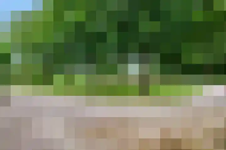 Van Haersoltelaan 34 Barneveld thumbnail 52