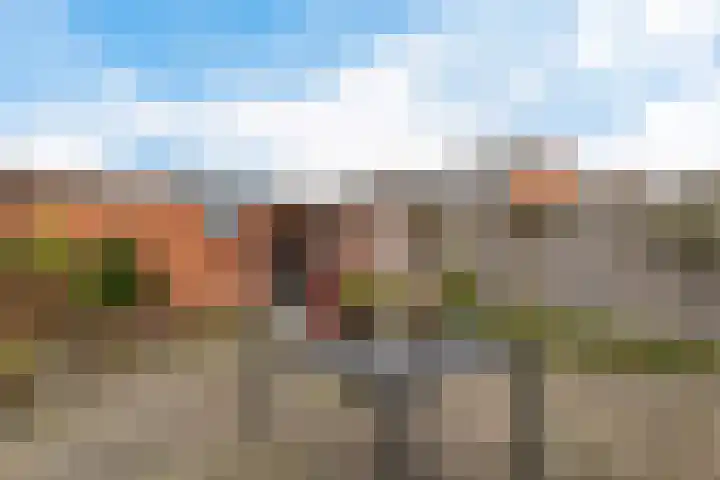 van Haersoltelaan 40 Hasselt thumbnail 18