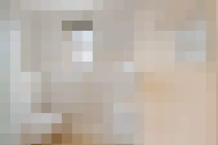 van Haersoltelaan 40 Hasselt thumbnail 27