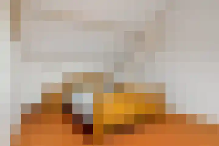 van Haersoltelaan 40 Hasselt thumbnail 30