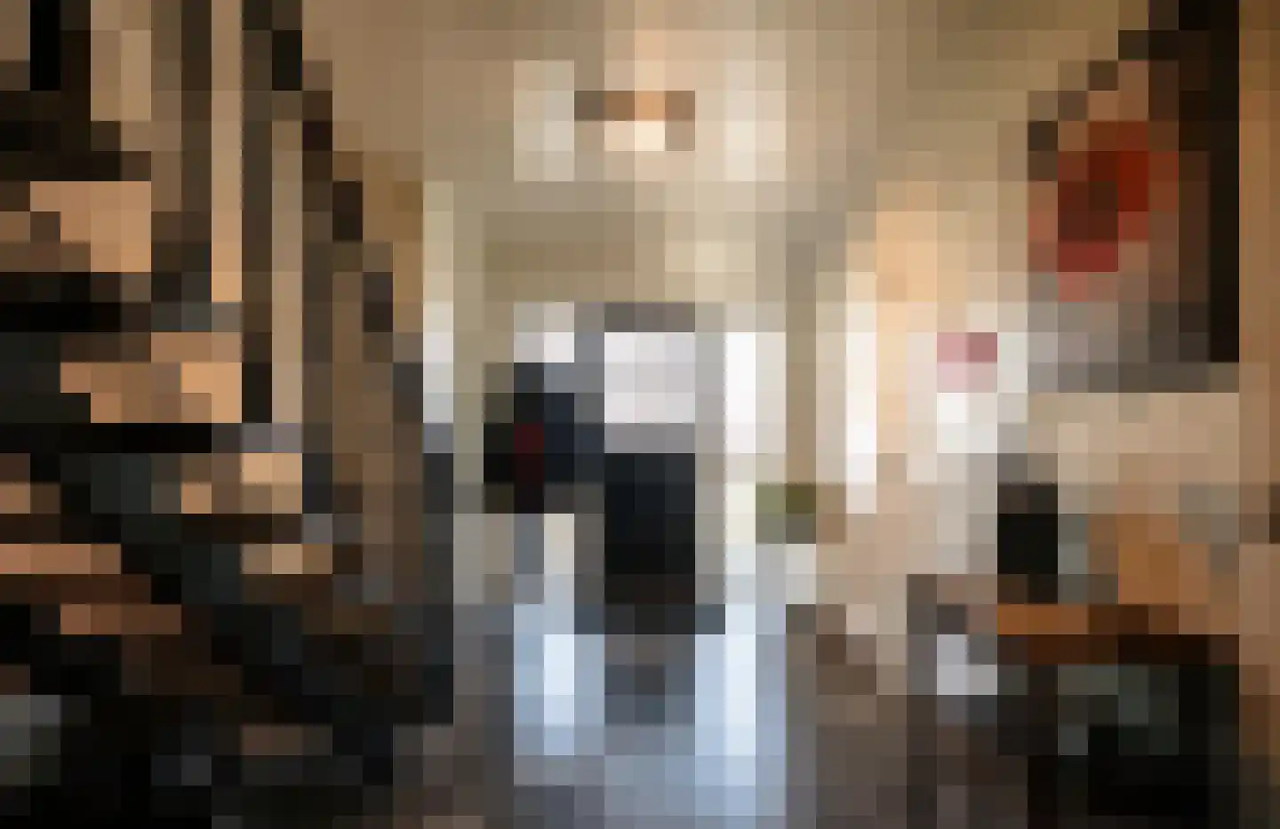 Van Haersoltelaan 58 Barneveld thumbnail 15