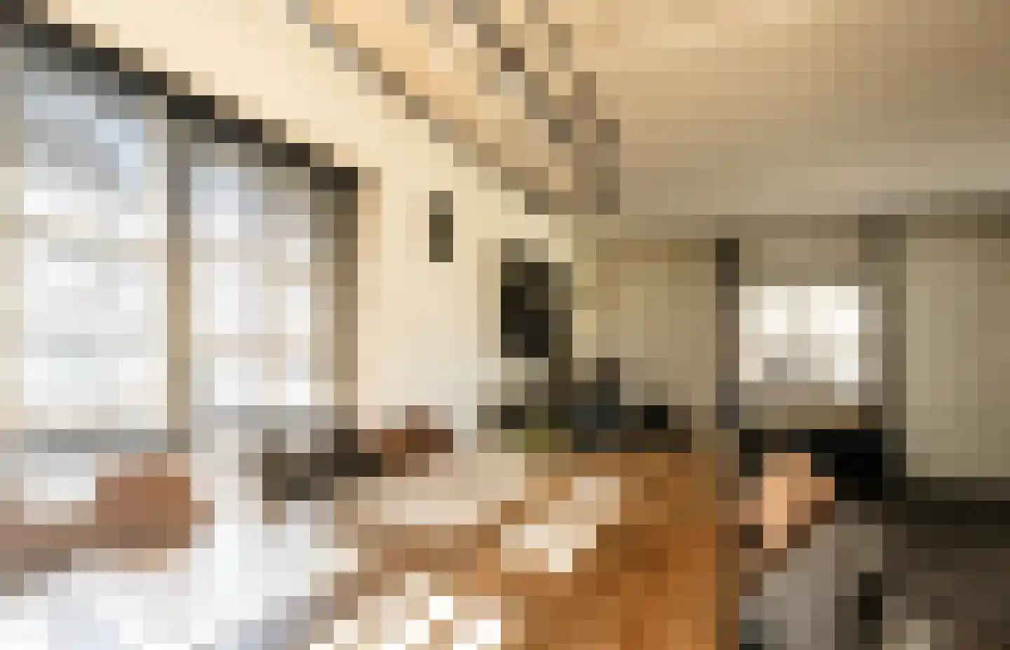 Van Haersoltelaan 58 Barneveld thumbnail 16