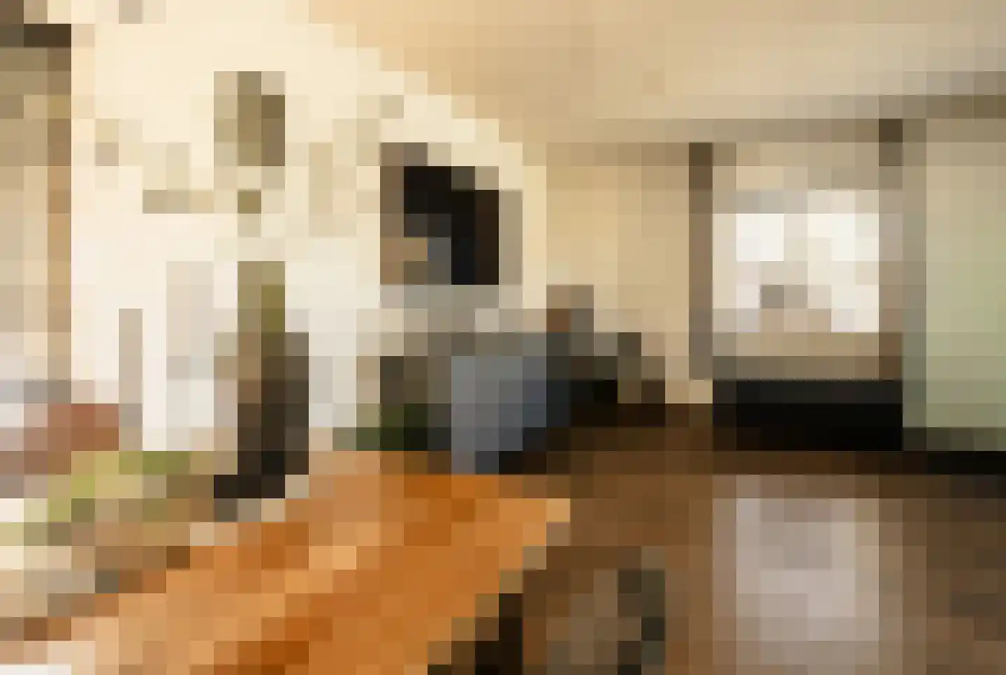 Van Haersoltelaan 58 Barneveld thumbnail 17