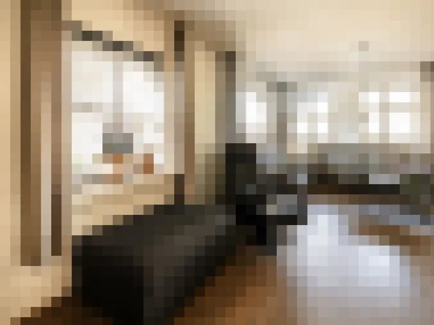 Van Haersoltelaan 58 Barneveld thumbnail 20