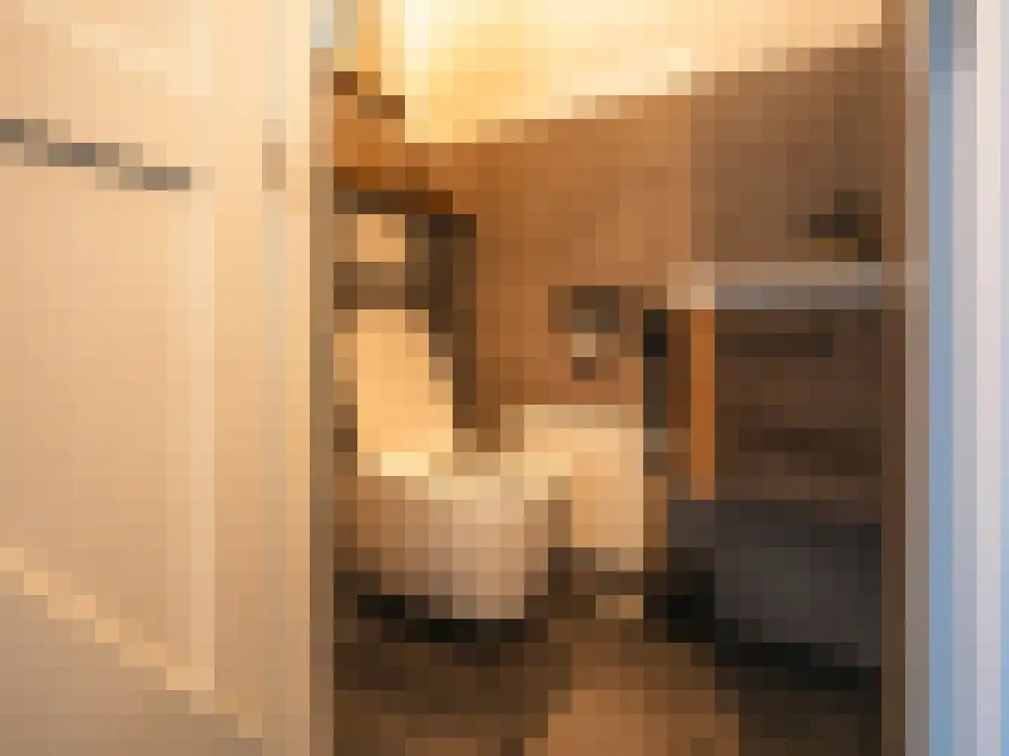 Van Haersoltelaan 58 Barneveld thumbnail 32