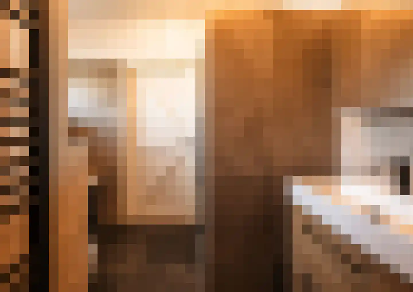 Van Haersoltelaan 58 Barneveld thumbnail 36