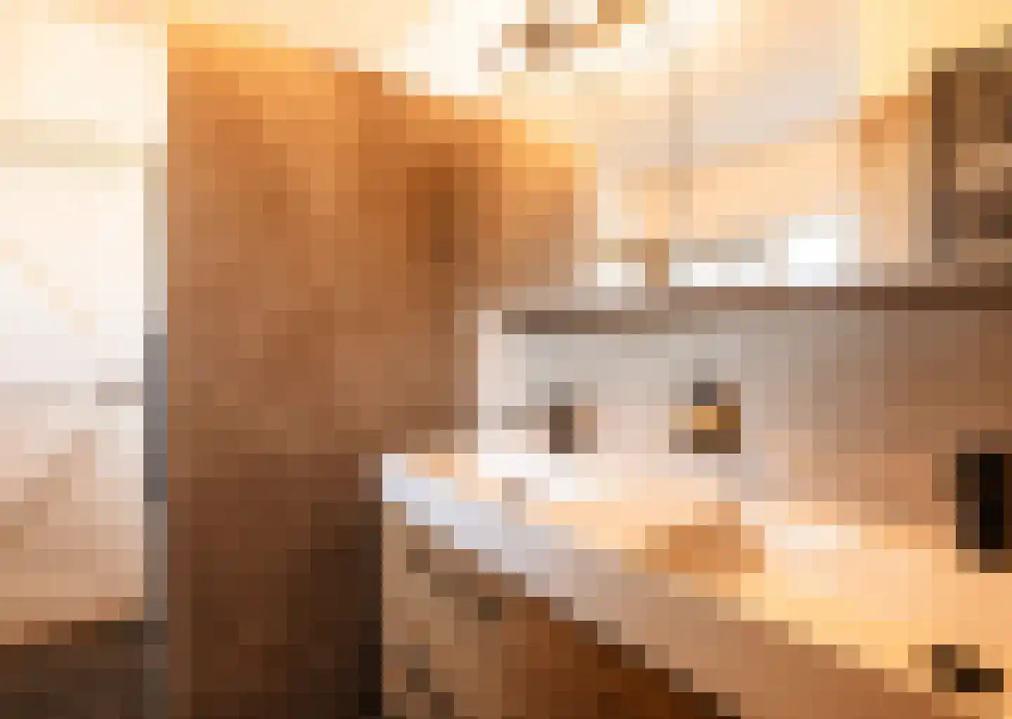 Van Haersoltelaan 58 Barneveld thumbnail 37