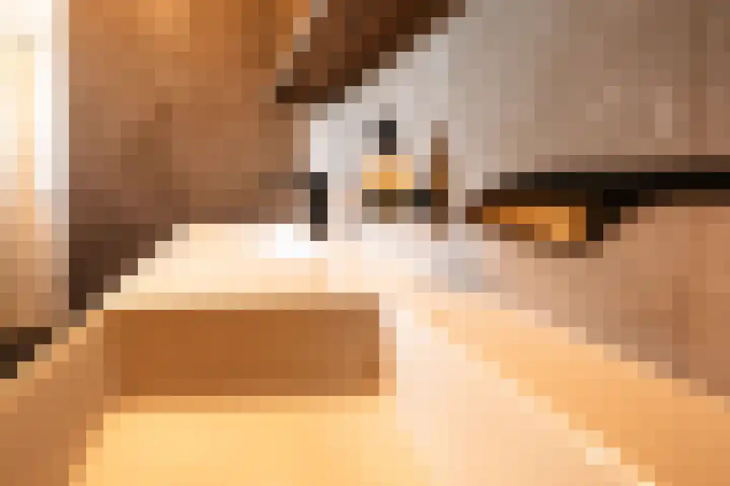 Van Haersoltelaan 58 Barneveld thumbnail 38