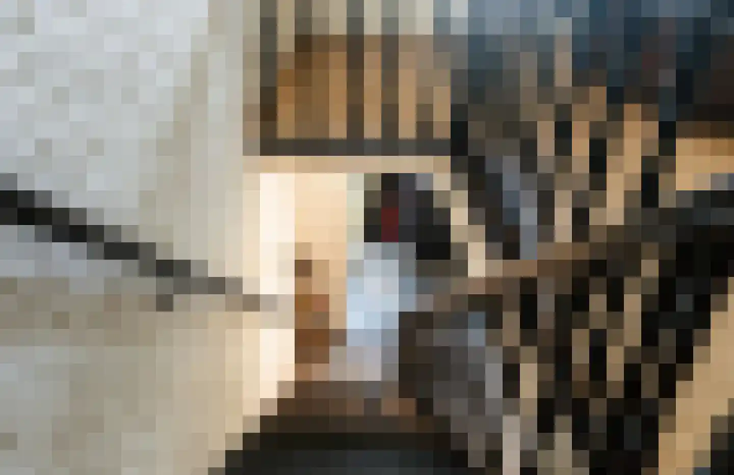 Van Haersoltelaan 58 Barneveld thumbnail 39