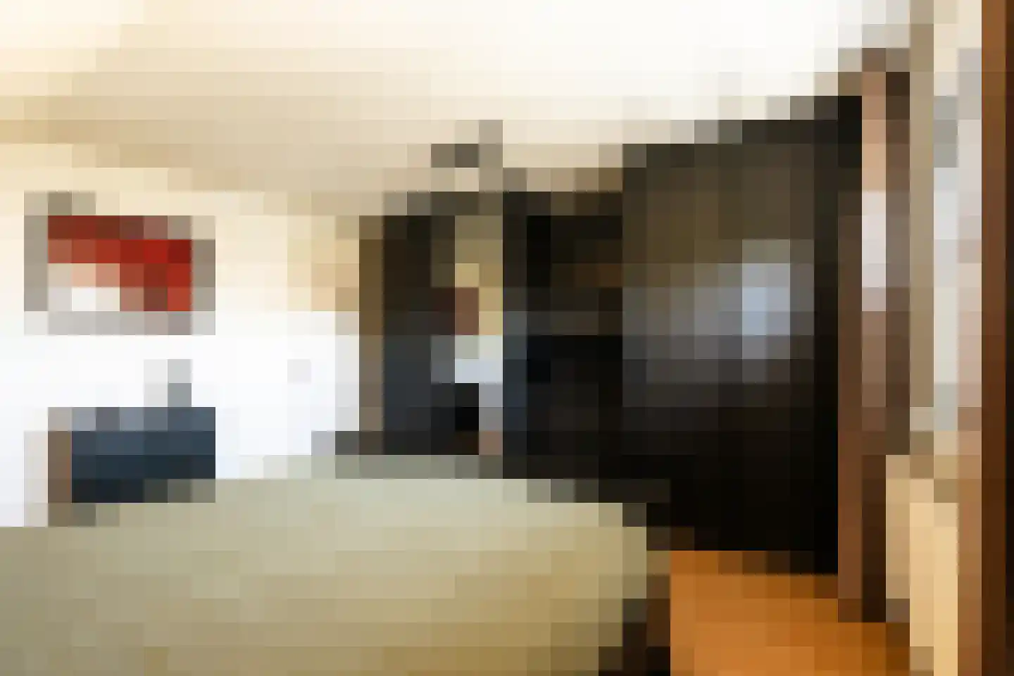 Van Haersoltelaan 58 Barneveld thumbnail 44