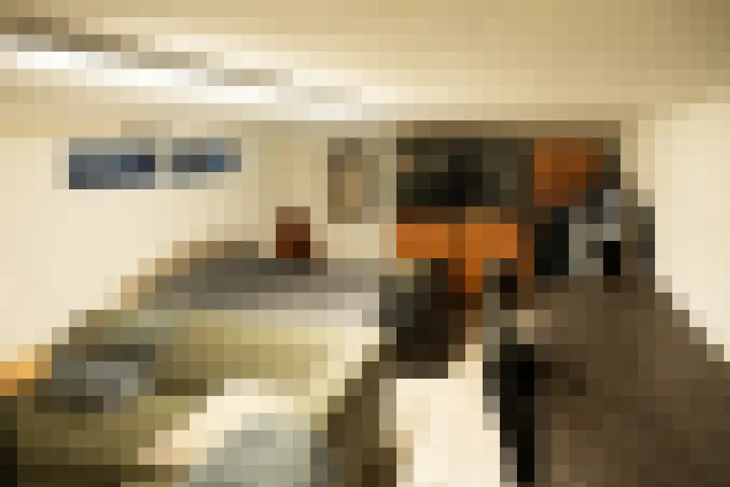 Van Haersoltelaan 58 Barneveld thumbnail 54