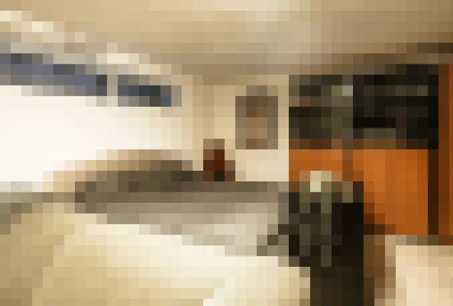 Van Haersoltelaan 58 Barneveld thumbnail 55