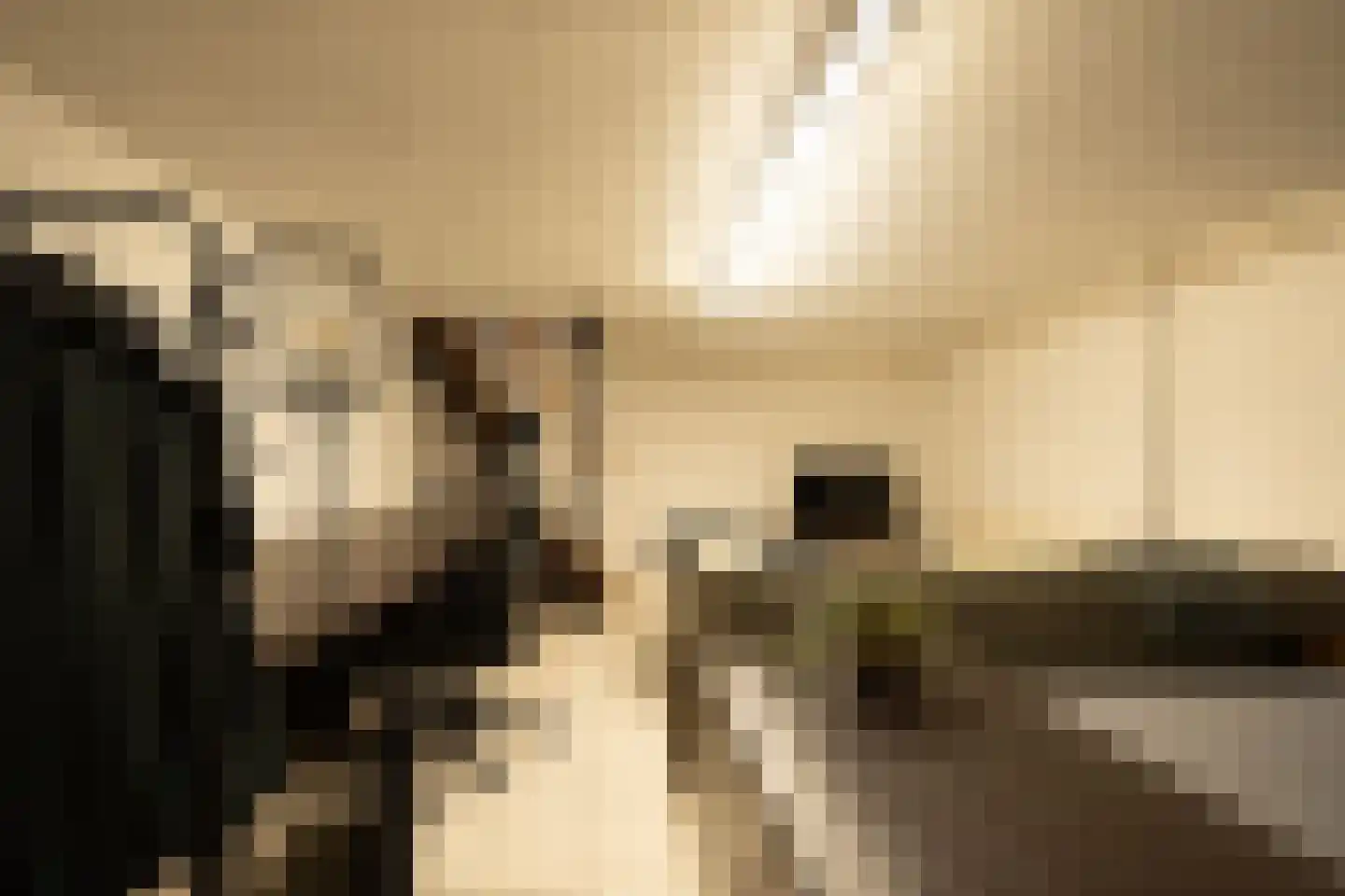 Van Haersoltelaan 58 Barneveld thumbnail 56
