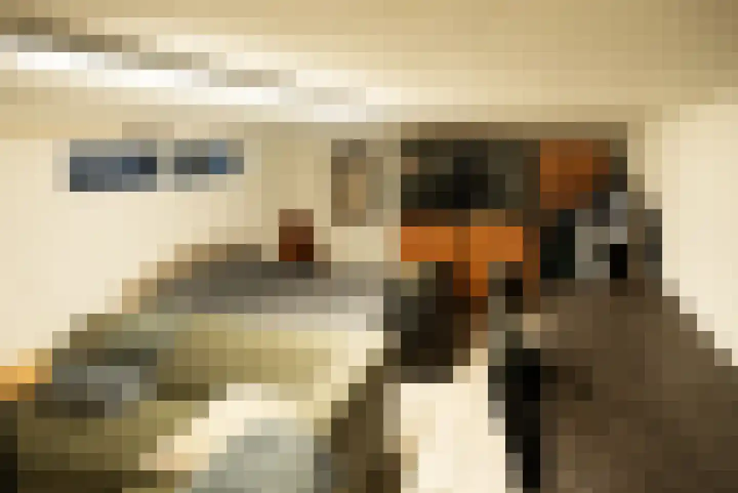 Van Haersoltelaan 58 Barneveld thumbnail 58