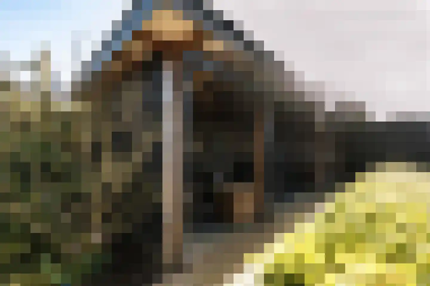 Van Haersoltelaan 58 Barneveld thumbnail 66