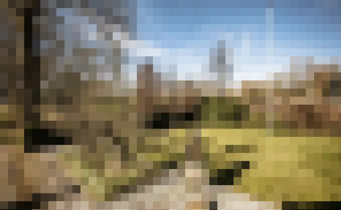 Van Haersoltelaan 58 Barneveld thumbnail 71