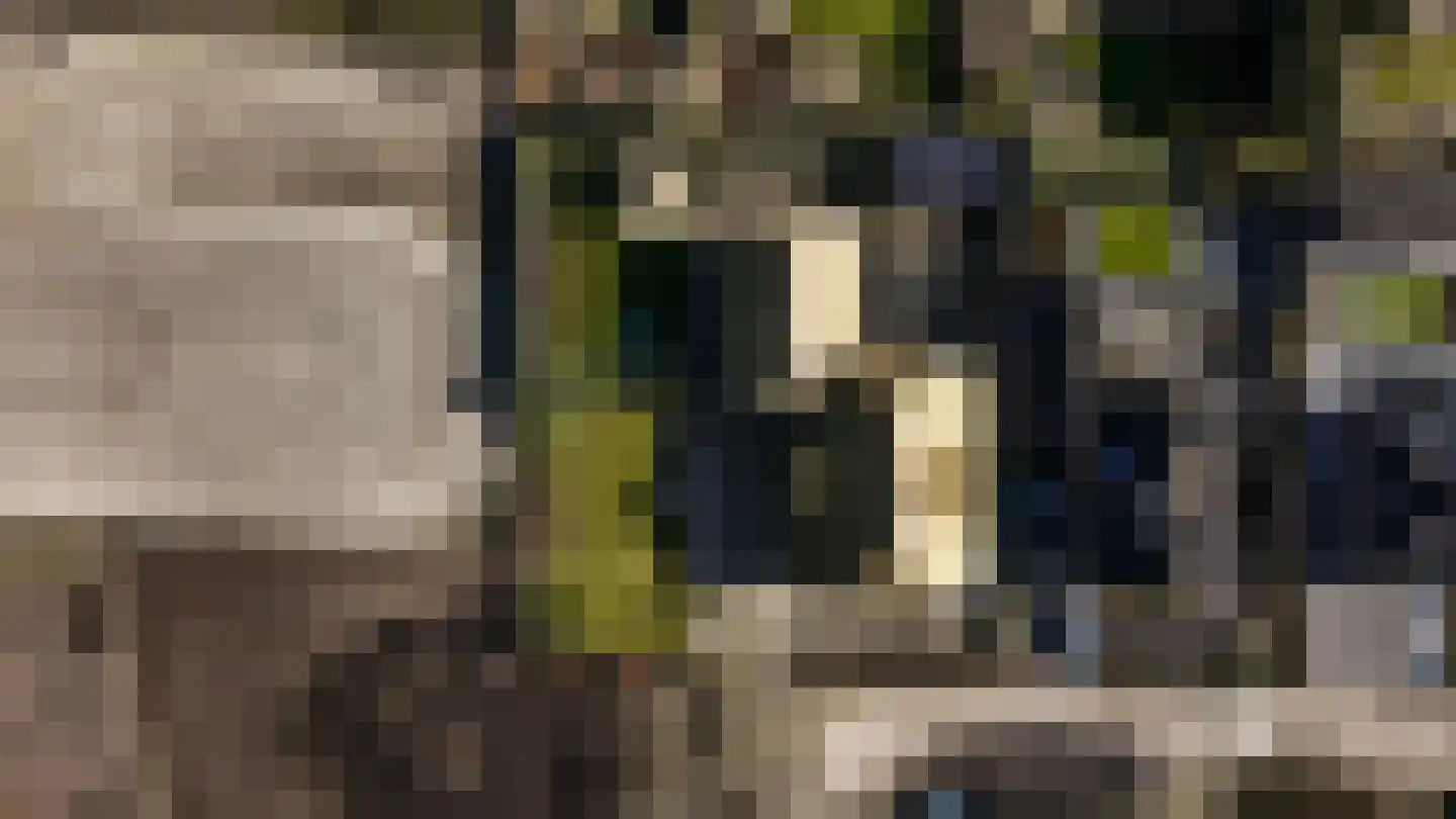 Van Haersoltelaan 58 Barneveld thumbnail 76