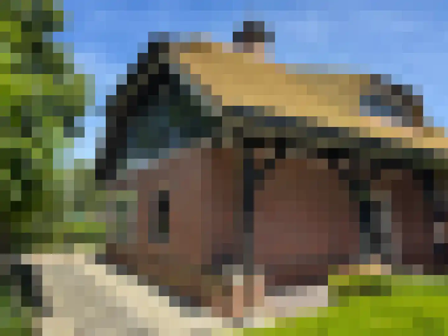 Van Haersoltelaan 58 Barneveld thumbnail 9