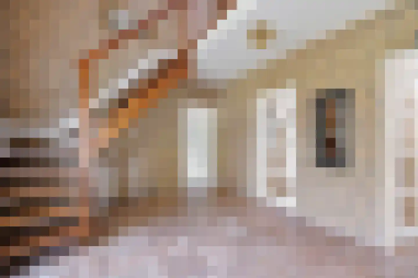 van Haersoltelaan 6 Coevorden thumbnail 10