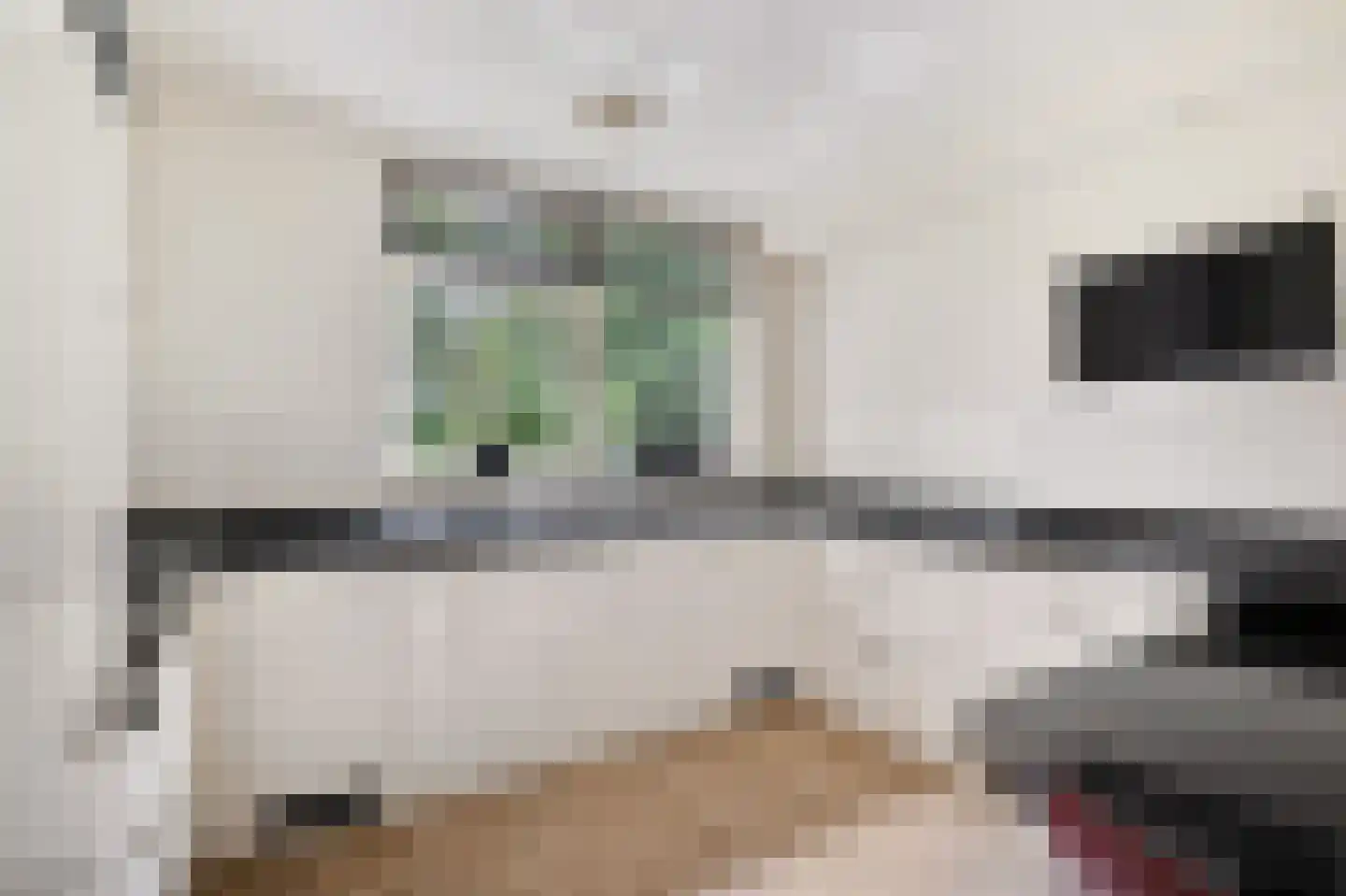 van Haersoltelaan 6 Coevorden thumbnail 19