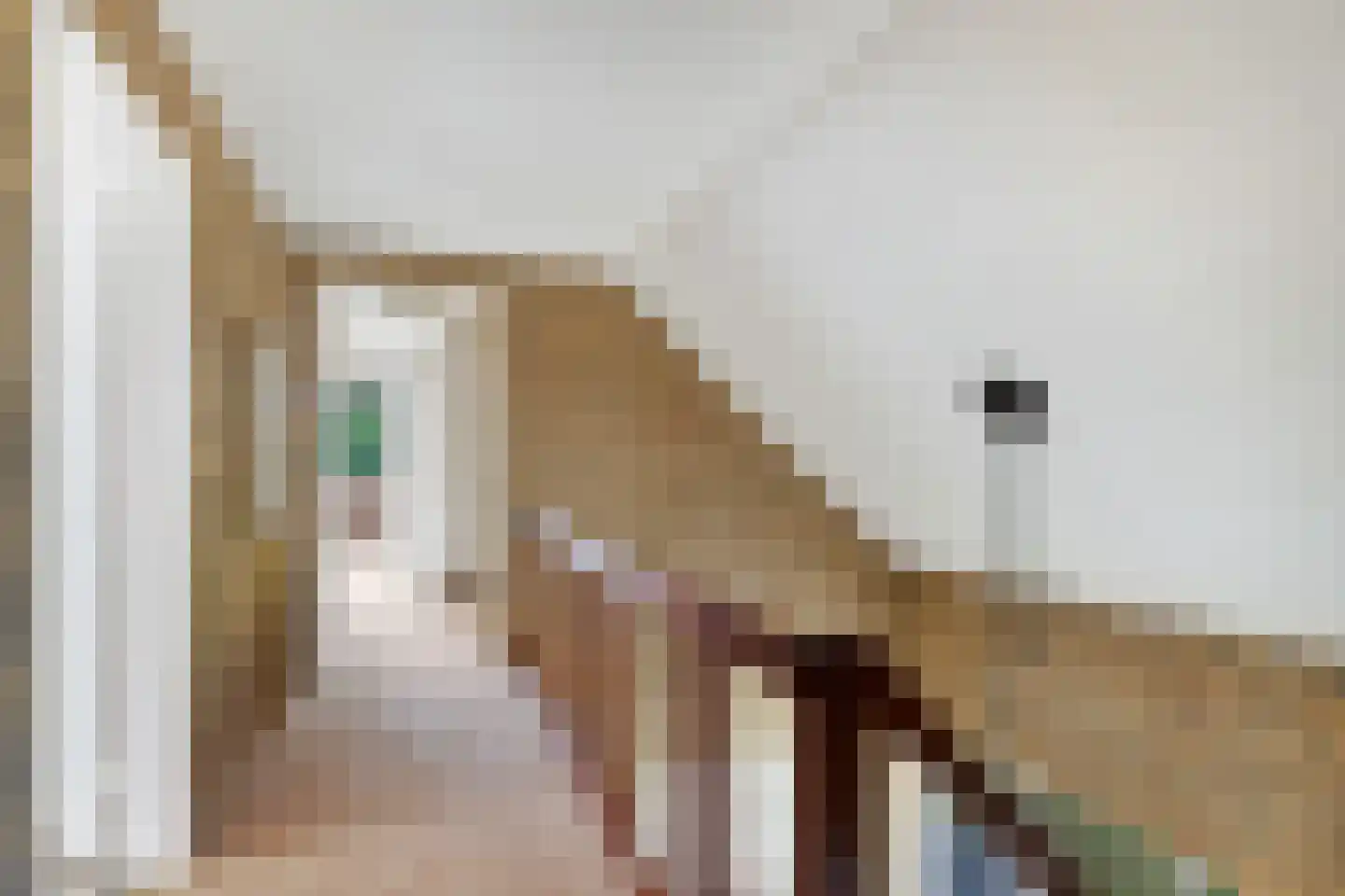van Haersoltelaan 6 Coevorden thumbnail 24
