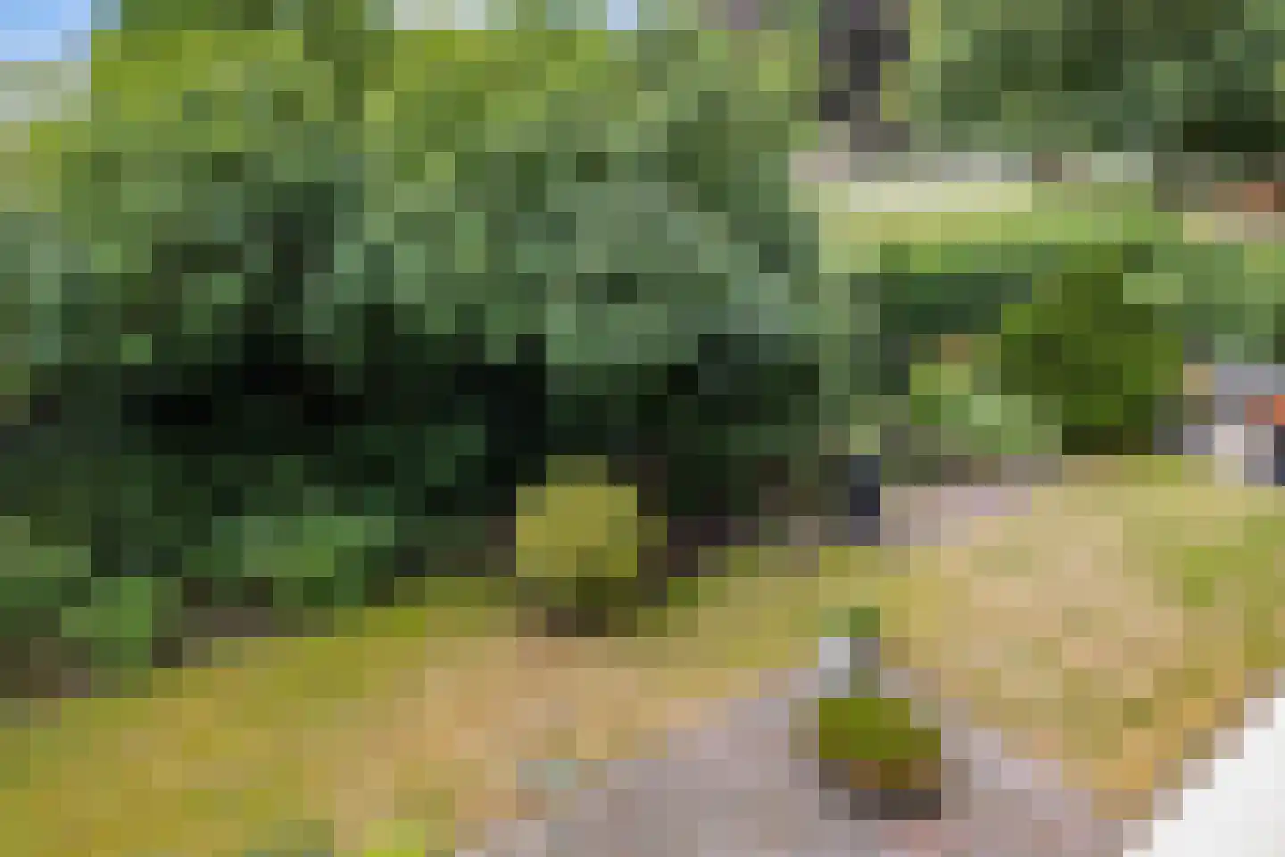 van Haersoltelaan 6 Coevorden thumbnail 33