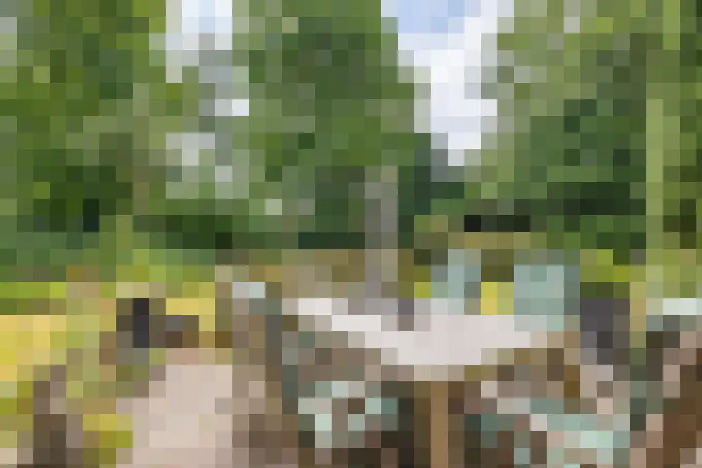 van Haersoltelaan 6 Coevorden thumbnail 37