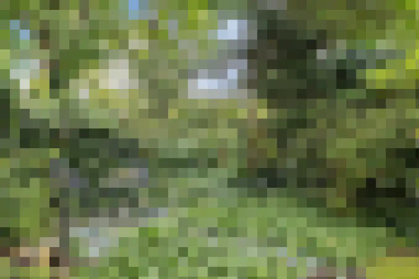 van Haersoltelaan 6 Coevorden thumbnail 39