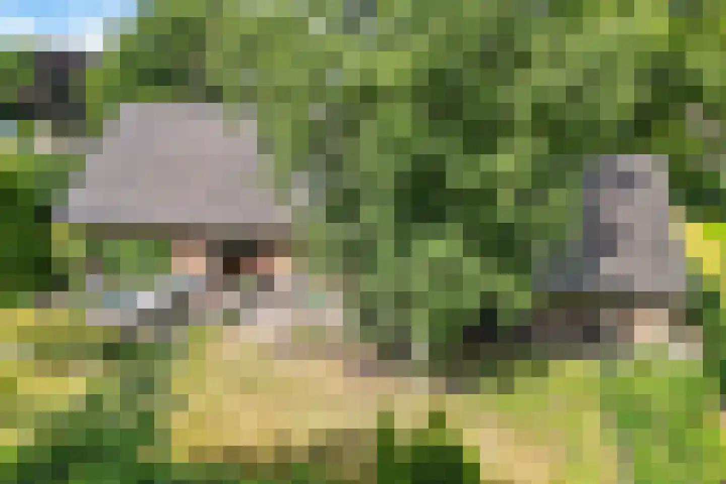 van Haersoltelaan 6 Coevorden thumbnail 4