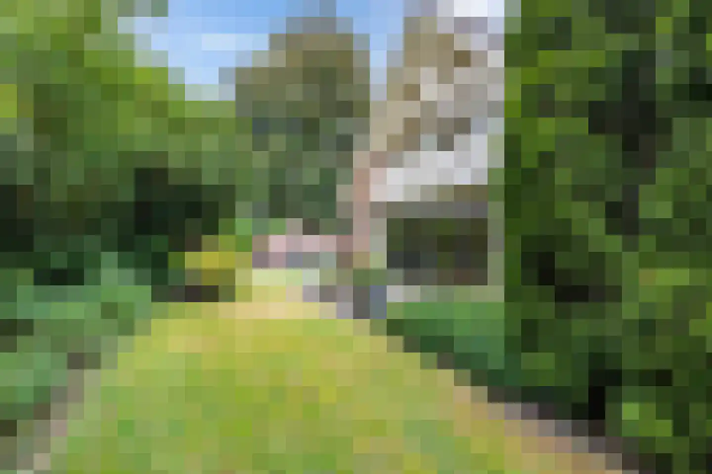 van Haersoltelaan 6 Coevorden thumbnail 41