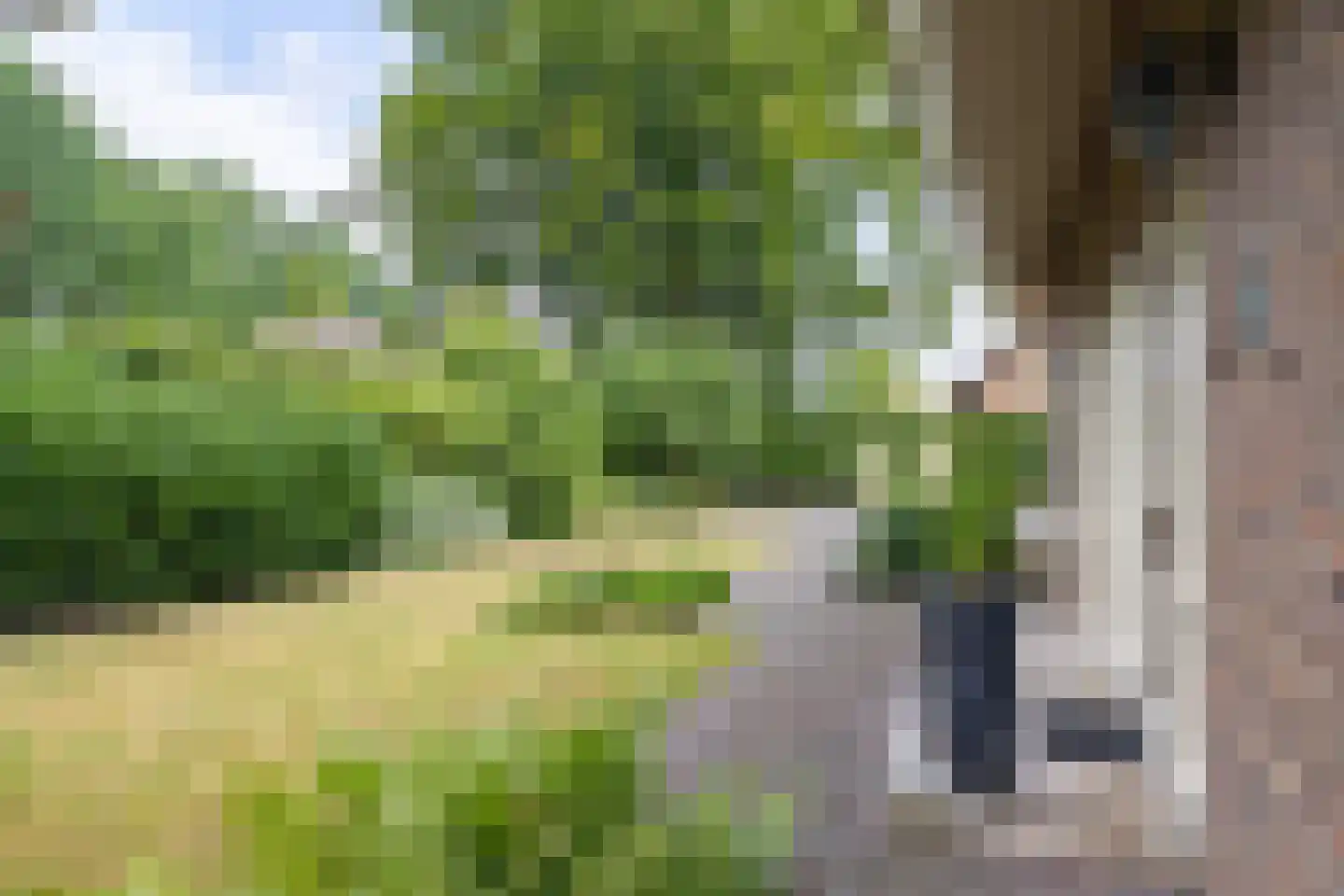 van Haersoltelaan 6 Coevorden thumbnail 44