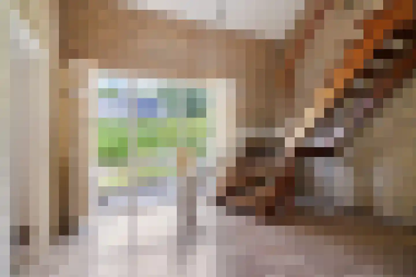 van Haersoltelaan 6 Coevorden thumbnail 7