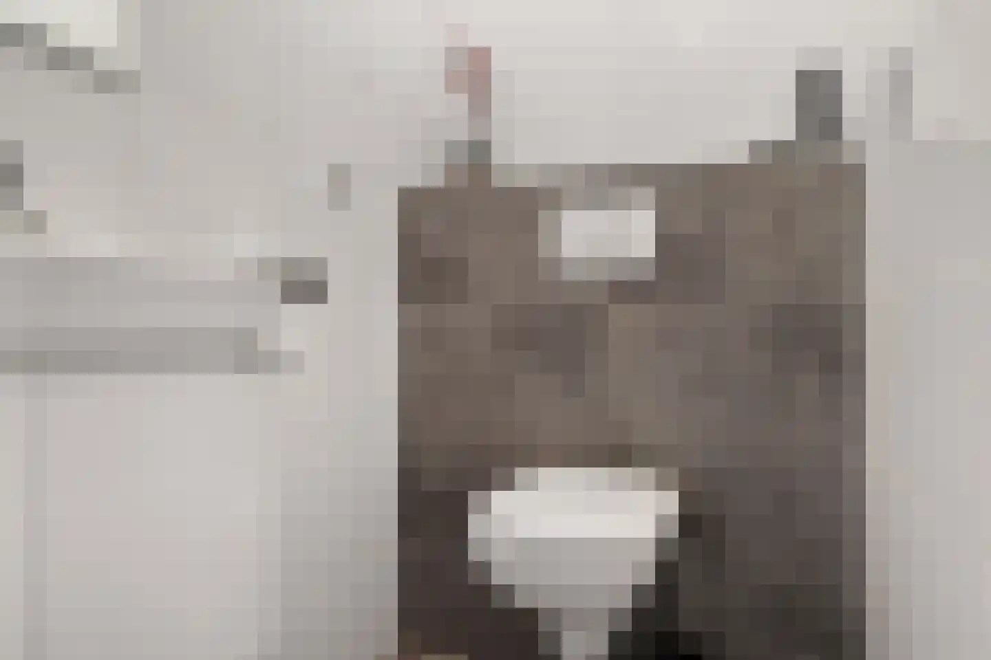 van Haersoltelaan 6 Coevorden thumbnail 8