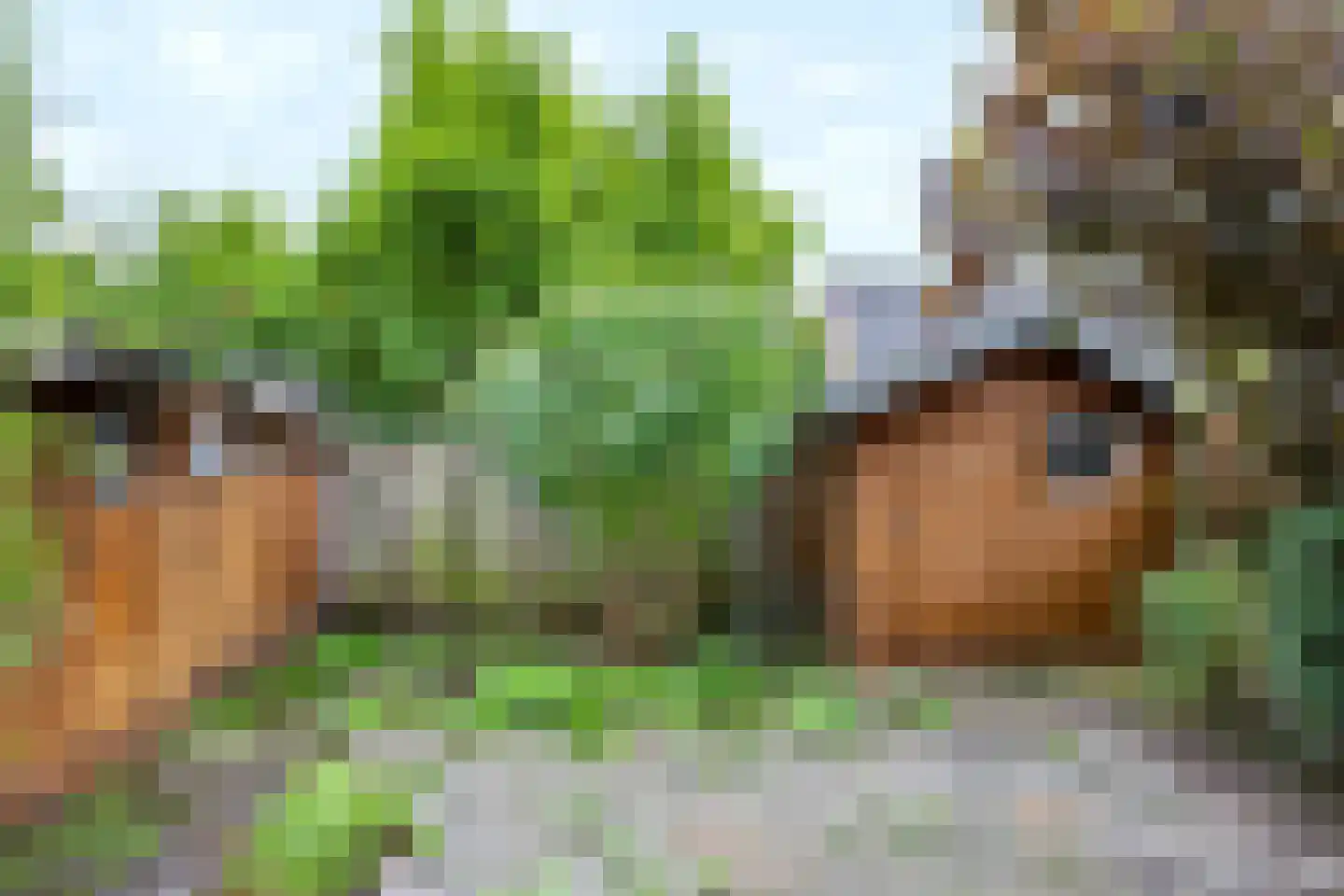 Van Haersoltelaan 73 Barneveld thumbnail 31