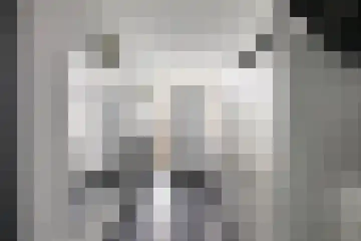 Van Haersoltelaan 9 Vollenhove thumbnail 11