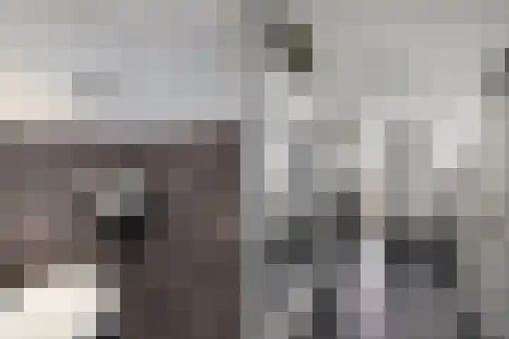Van Haersoltelaan 9 Vollenhove thumbnail 12
