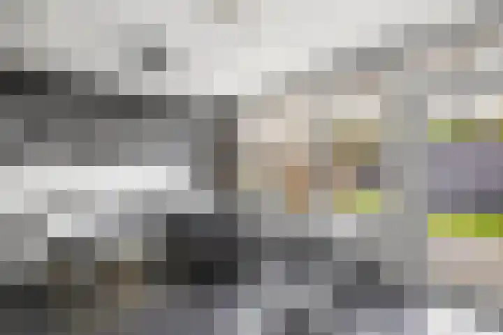 Van Haersoltelaan 9 Vollenhove thumbnail 14