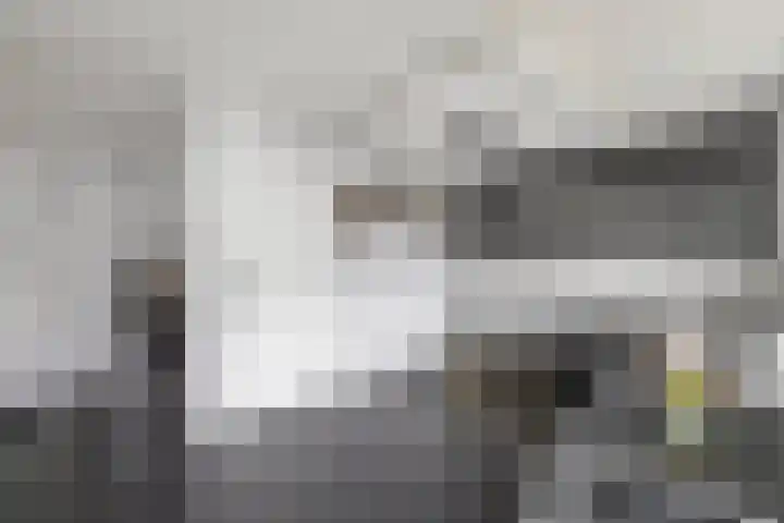Van Haersoltelaan 9 Vollenhove thumbnail 15