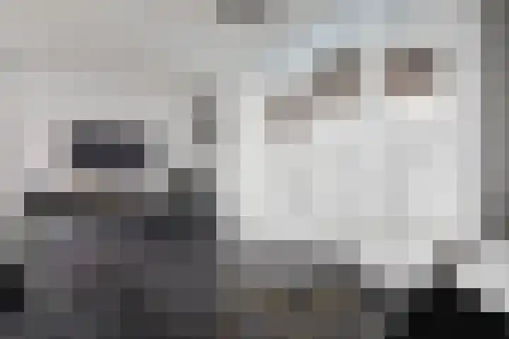 Van Haersoltelaan 9 Vollenhove thumbnail 16