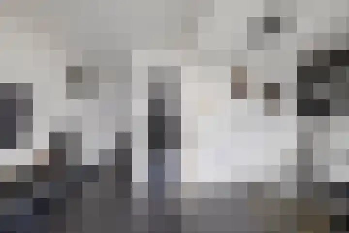Van Haersoltelaan 9 Vollenhove thumbnail 17