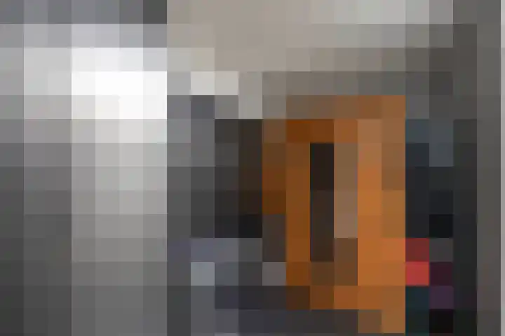Van Haersoltelaan 9 Vollenhove thumbnail 21