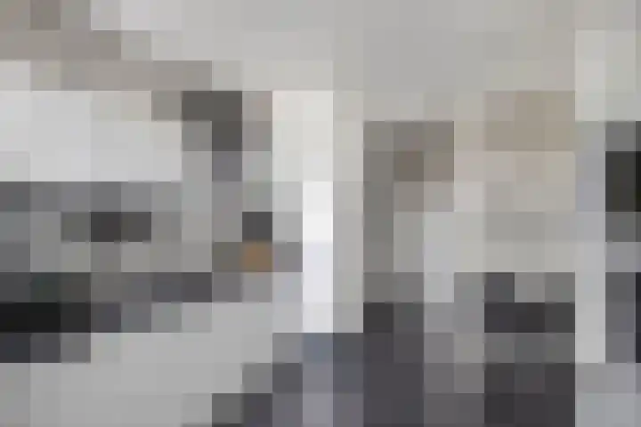 Van Haersoltelaan 9 Vollenhove thumbnail 23