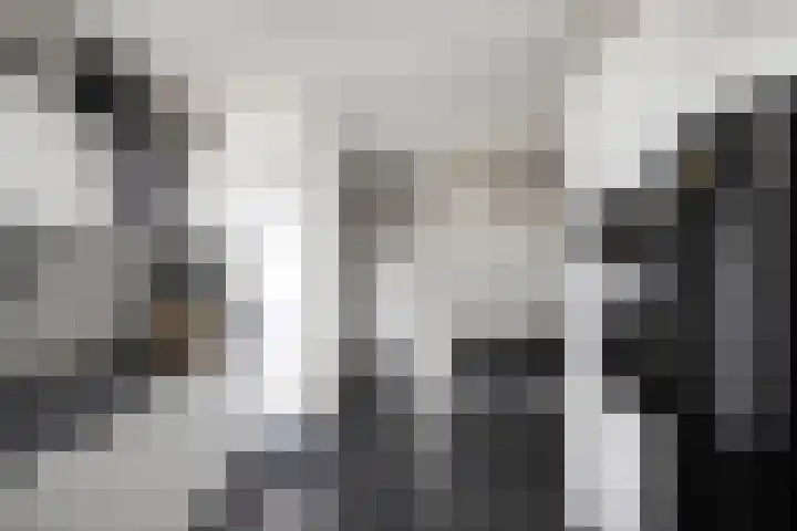 Van Haersoltelaan 9 Vollenhove thumbnail 24