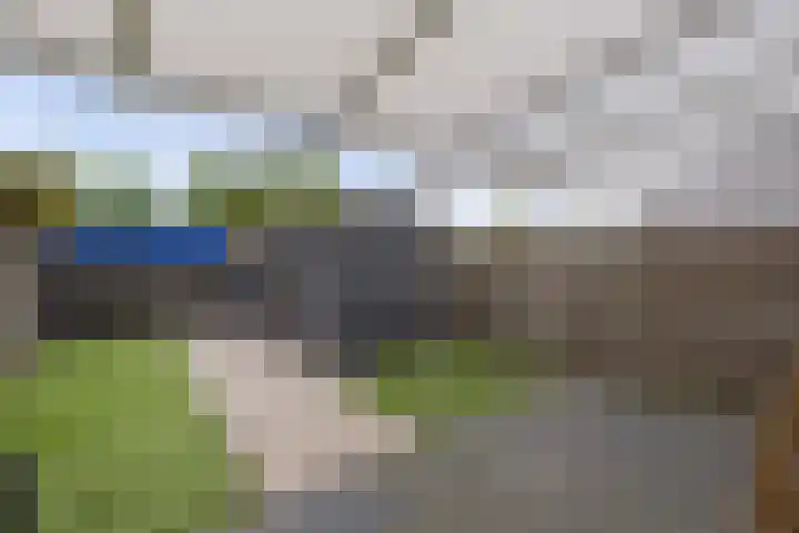Van Haersoltelaan 9 Vollenhove thumbnail 25