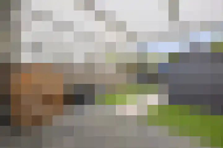 Van Haersoltelaan 9 Vollenhove thumbnail 26