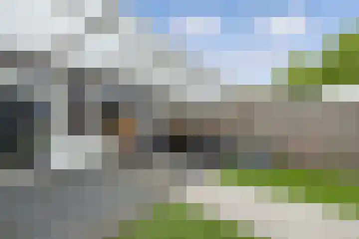 Van Haersoltelaan 9 Vollenhove thumbnail 27