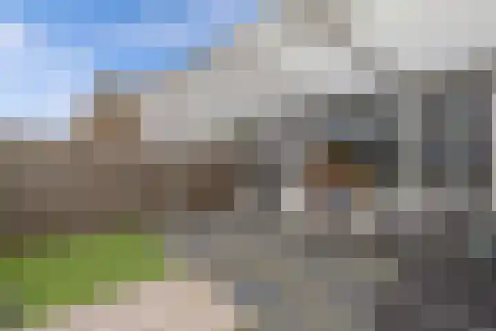 Van Haersoltelaan 9 Vollenhove thumbnail 28