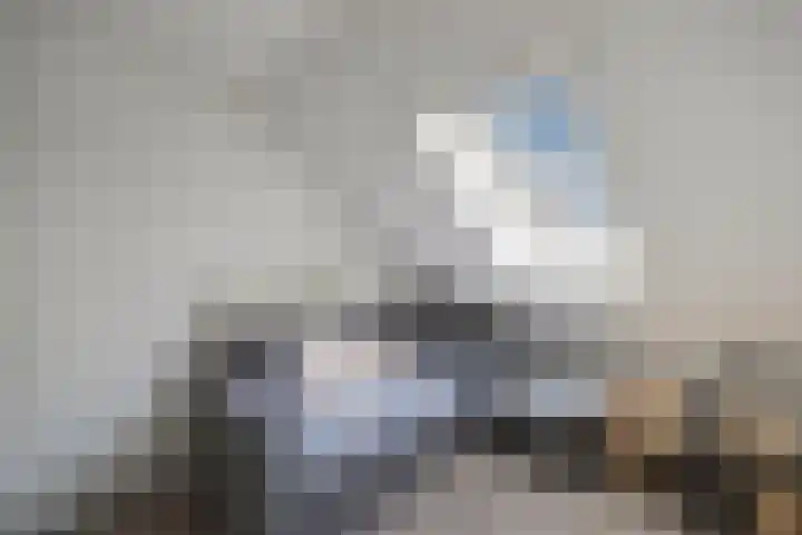 Van Haersoltelaan 9 Vollenhove thumbnail 36